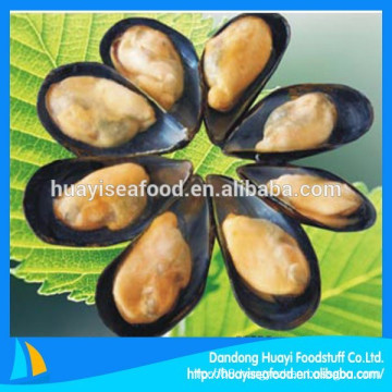 IQF frozen half shell mussel fished in best season